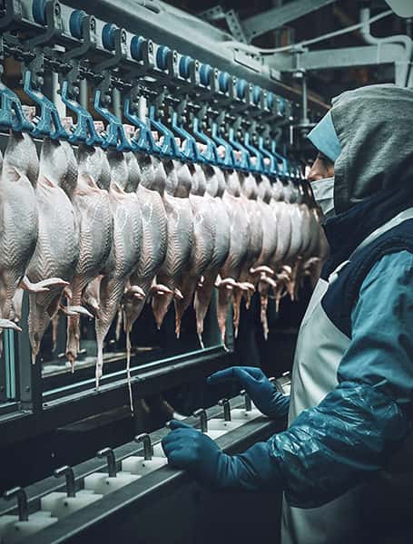 Kanatlı Hayvan İşleme ve Muhafaza Tesisi